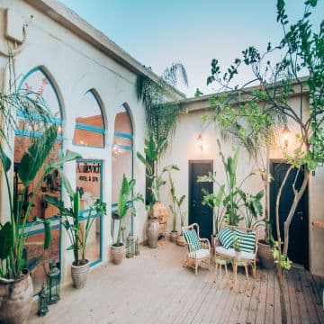 אחוזת אנילביץ' 2