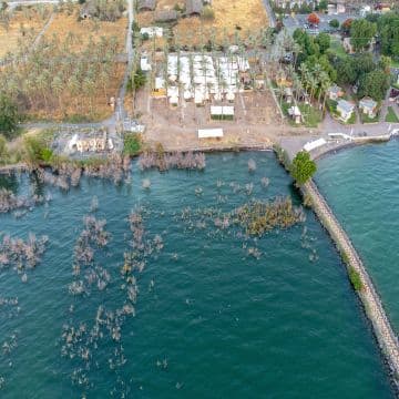 Olive Resort on the Sea of Galilee - Olive chain 3