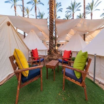 Olive Resort on the Sea of Galilee - Olive chain 4